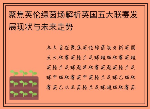 聚焦英伦绿茵场解析英国五大联赛发展现状与未来走势
