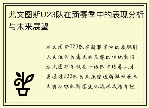 尤文图斯U23队在新赛季中的表现分析与未来展望